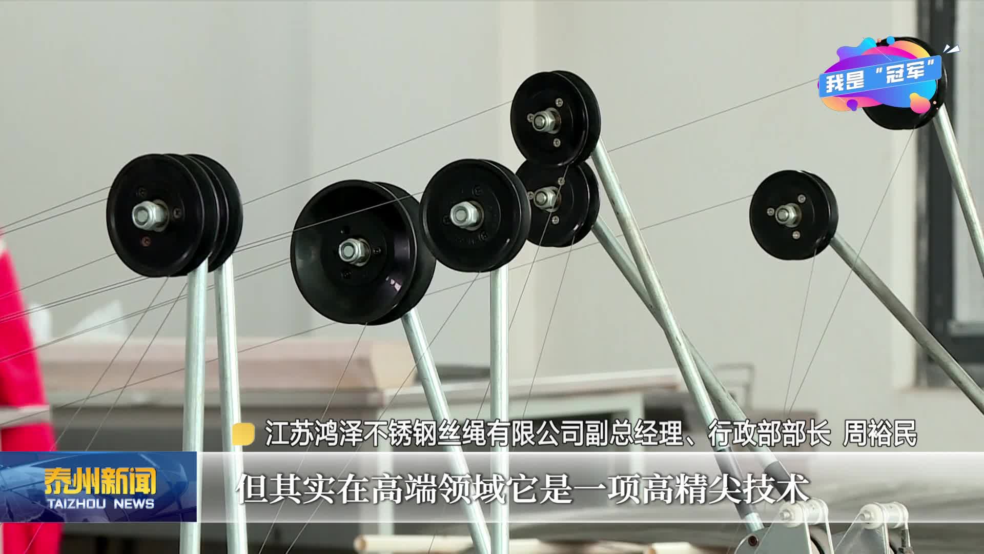 《链动泰州·我是“冠军”——专精特新小巨人启航录》  走进江苏鸿泽不锈钢丝绳有限公司